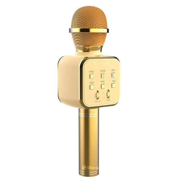 Speaker Microphone MS1